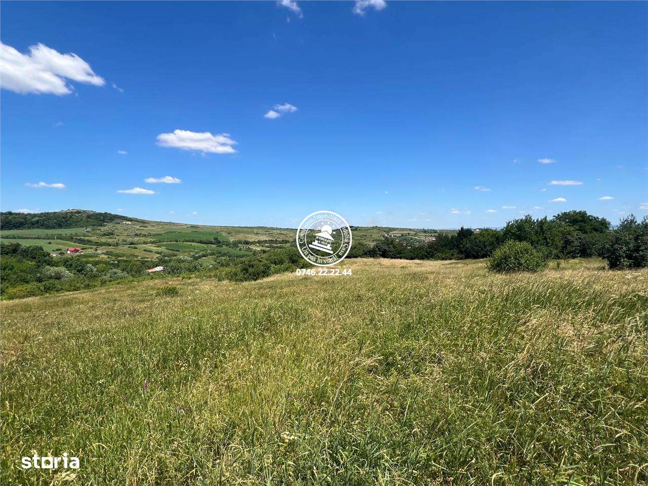 Teren de vanzare Tomesti Goruni  17.475 mp langa padure doar 7 euro mp - Imagine principală: 2/13