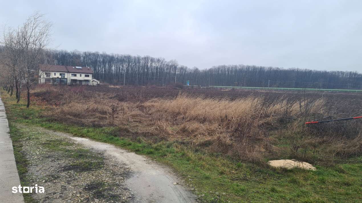 Teren premium rezidential sau industrial 26.651mp Corbeanca – acces-10