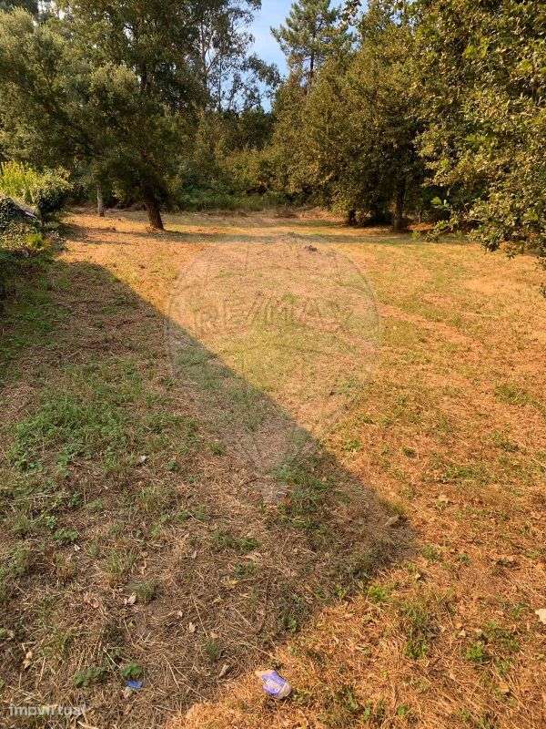 Terreno  para venda - Grande imagem: 5/6