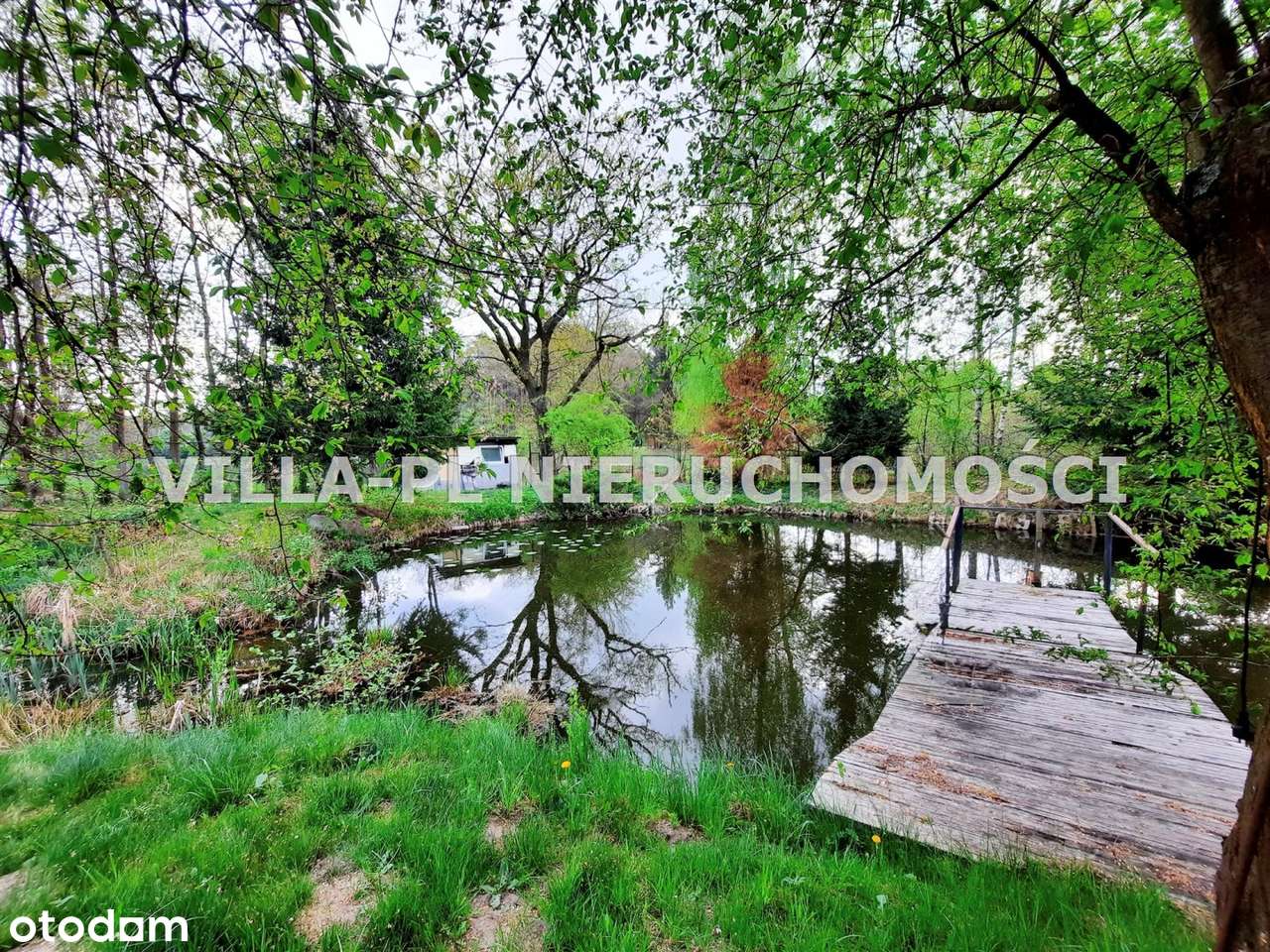 0%działka budowlana ze stawem przy Parku Dworskim - Pełny obrazek: 5/6