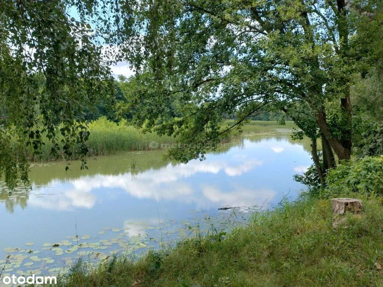 Działka budowlana Nowa Wieś k. Serocka - Pełny obrazek: 4/5