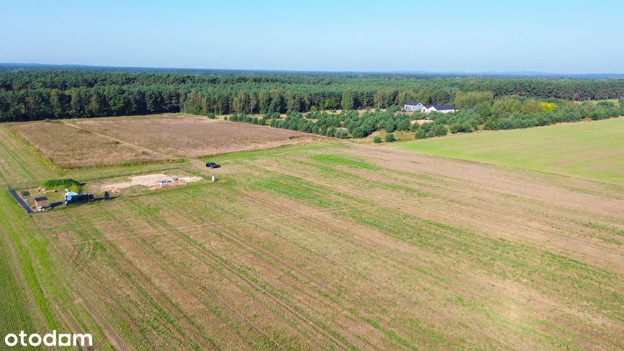 Działka  blisko lasu - atrakcyjna cena! od 905 do 2731m2-3