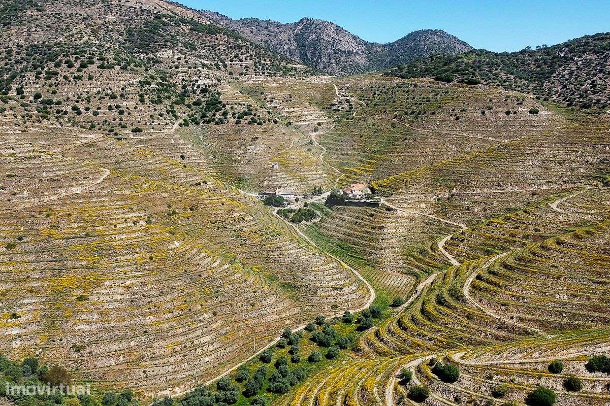 Quinta  para venda - Grande imagem: 3/26