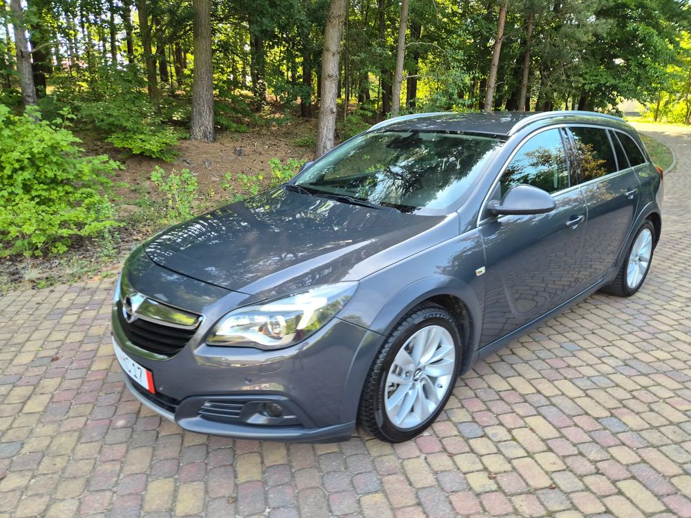 Opel Insignia A (2008-2017) CT 2.0 CDTI 4x4 S&S 2015