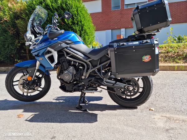 Triumph Tiger xrt - 5