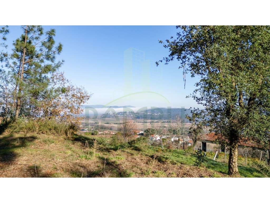 Quintinha com 3567m2 e vistas rio-12