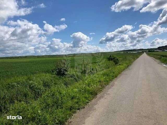 TEREN EXTRAVILAN//LIPANESTI//100.000 MP - Imagine principală: 1/7