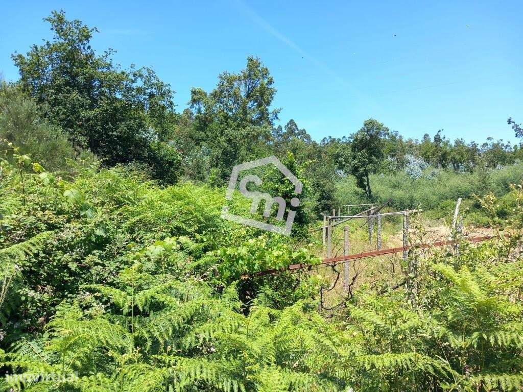 Terreno com Potencial Construtivo em Vandoma – Paredes-6