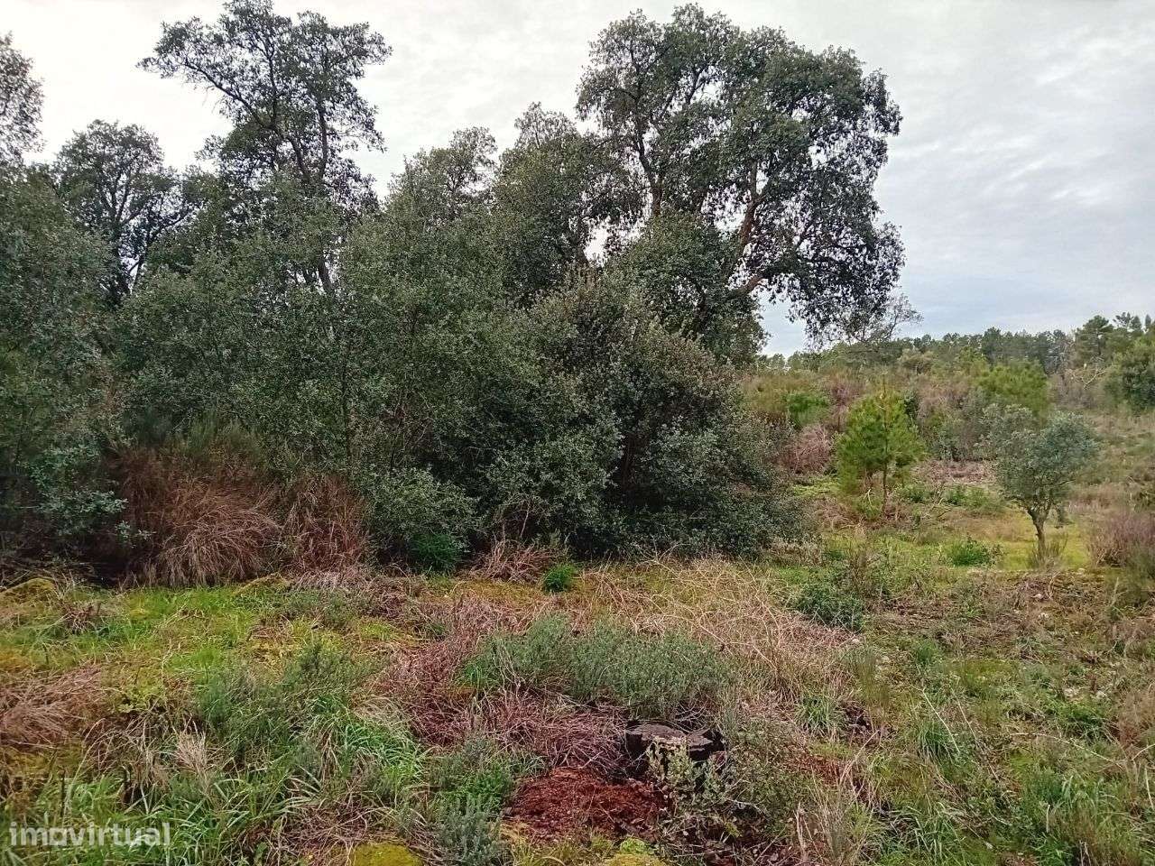 Terreno - Grande imagem: 5/9