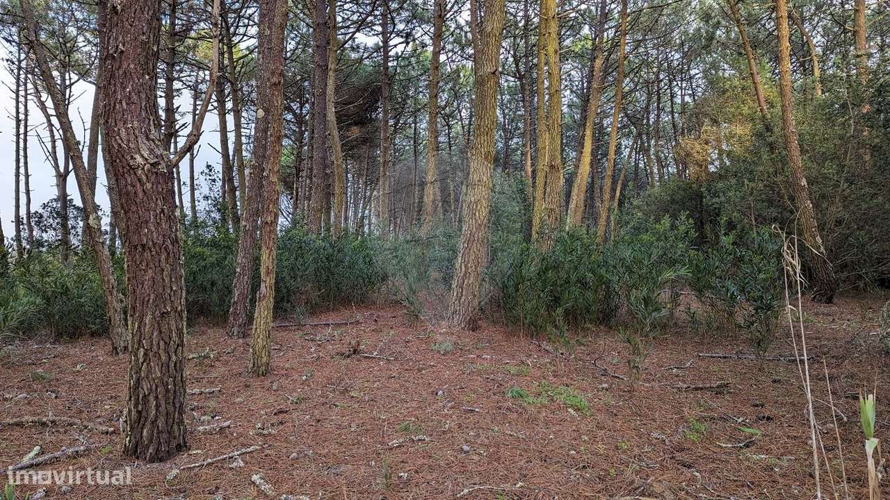 Terreno  para venda - Grande imagem: 4/18