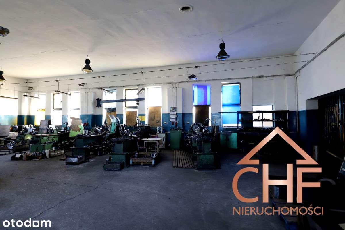 Hala produkcyjna z mediami i placem manewrowym - Pełny obrazek: 5/20