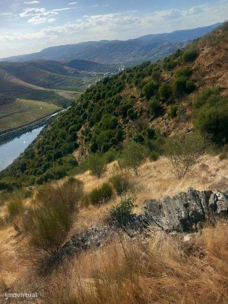 Vesndo um terreno em sequeiros - Grande imagem: 4/4