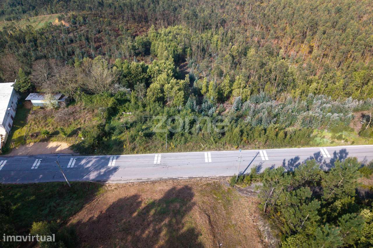 Terreno rústico urbanizável c/ exploração agrícola - Grande imagem: 4/15
