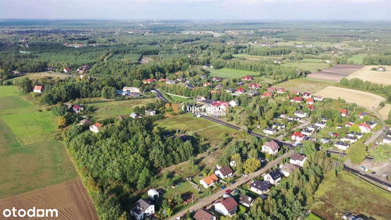 Grabowiec - Super Lokalizacja - Duża działka - Pełny obrazek: 2/8