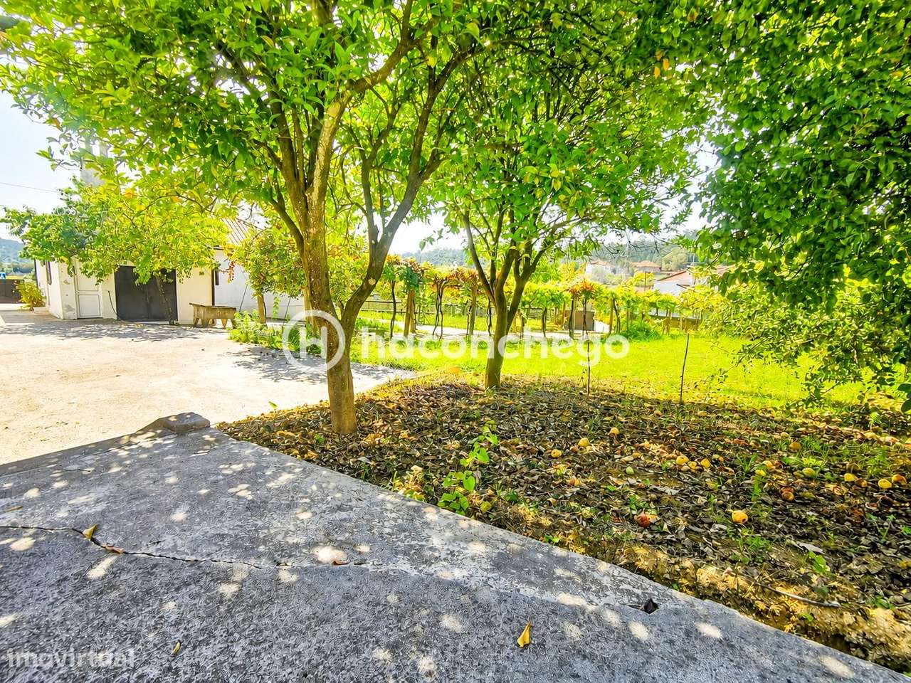 Quintinha com 2 moradias prontas a habitar – Alheira, Barcelos-10