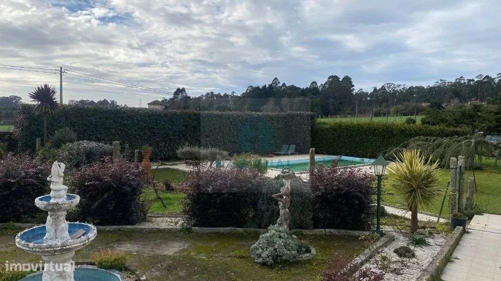 QUINTA  COM 27950 M2 EM VILA FRIA  - VIANA DO CASTELO - Grande imagem: 5/25