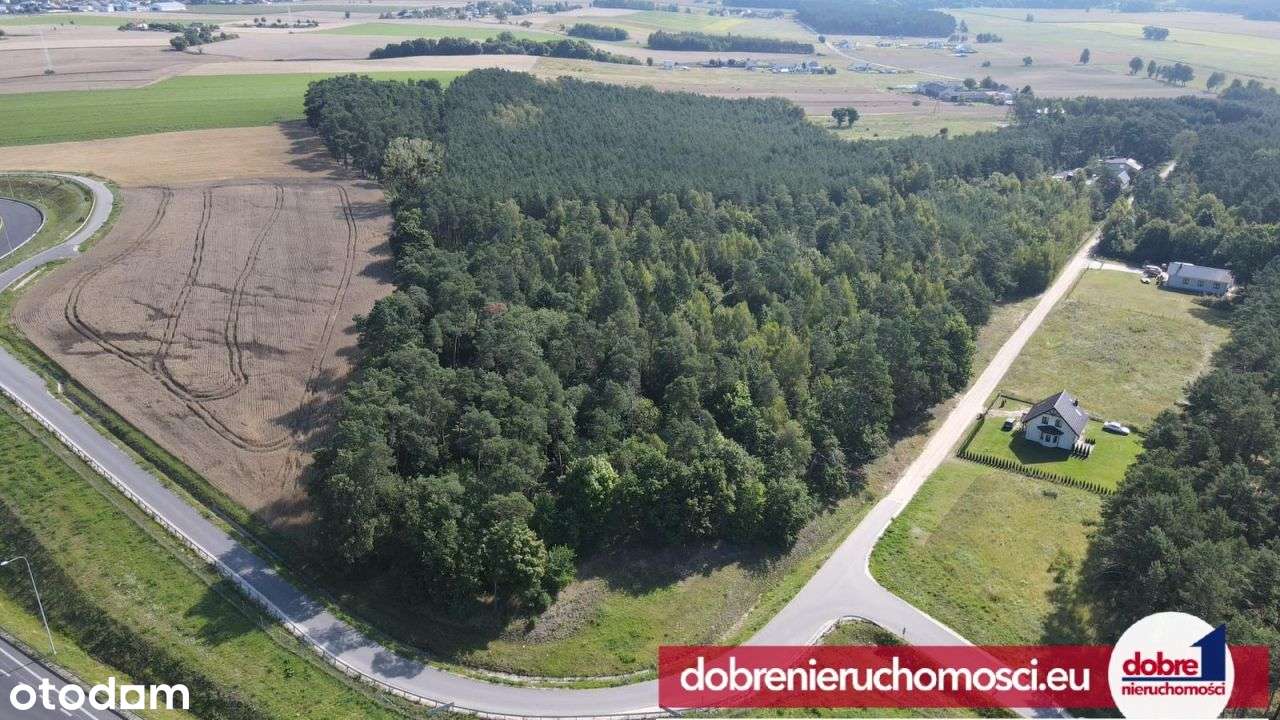 Działka pod dom i firmę, przy S5 i blisko lasu! - Pełny obrazek: 5/5