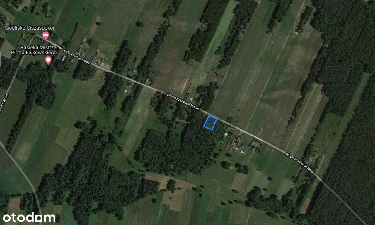 Wymiarowa, uzbrojona działka z warunkami zabudowy - Pełny obrazek: 5/18