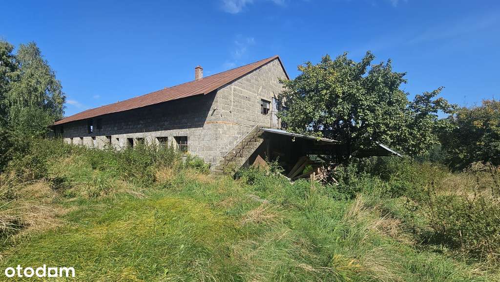 143/18292/ODS - Pełny obrazek: 5/9