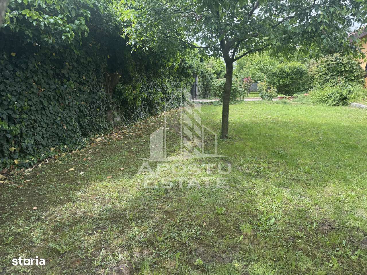 Casă unifamilială în Ghiroda cu teren generos 1752 mp - Imagine principală: 4/20