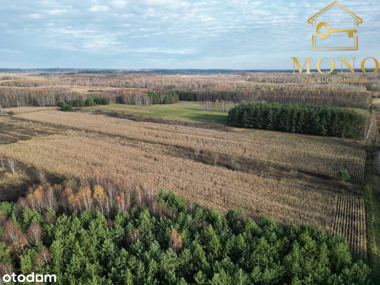 Działka 1,61 ha ok. 10 km od Buska-Zdrój-10