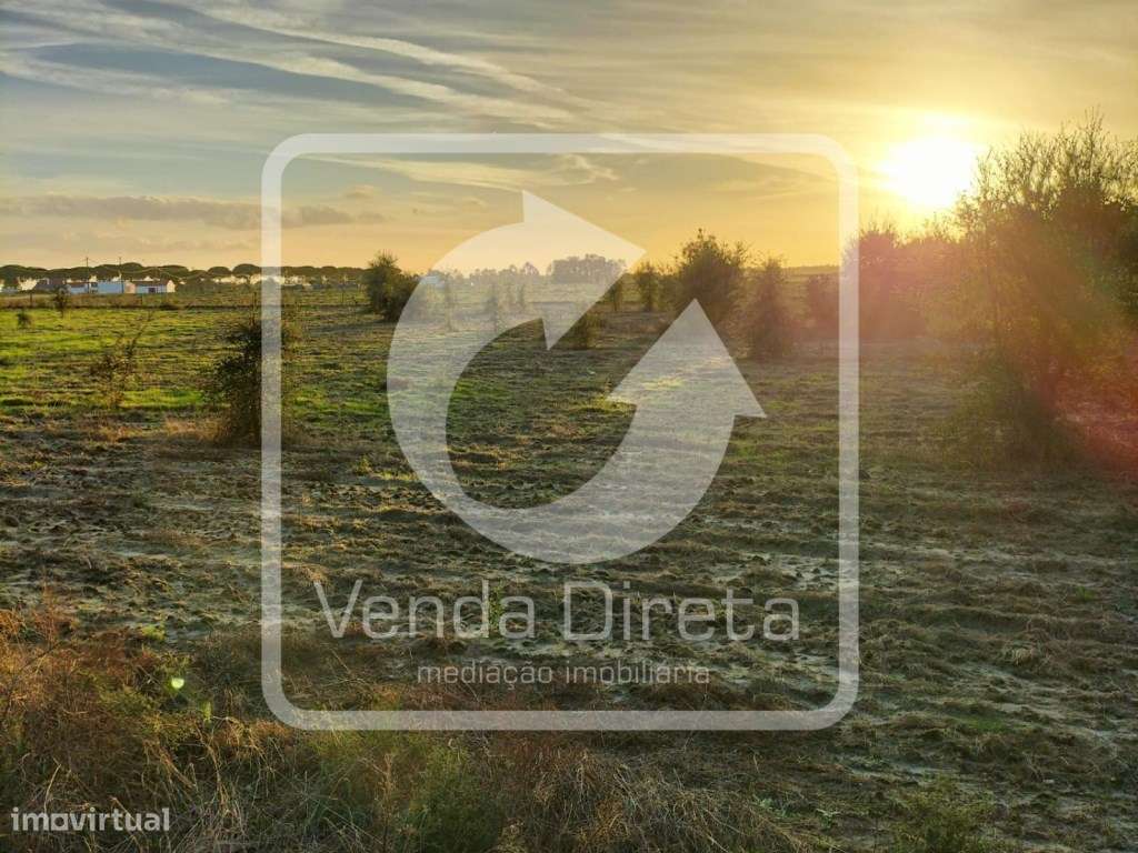 Terreno com 110.000 m2 junto à Nacional 10 - Com Armazém, Furo Lice...-16