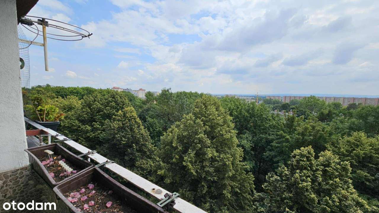 Nowe! 3 pokoje, ustawne, dwustronne, loggia, Os. Józefa Strusia 6-8