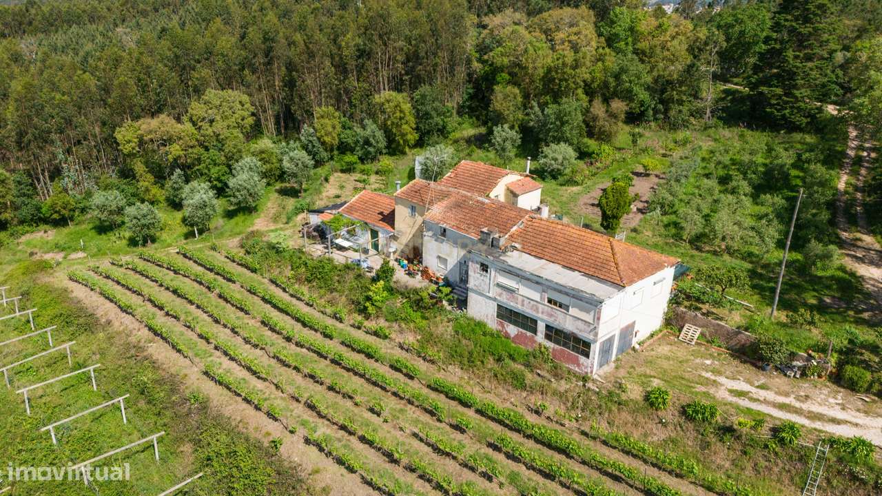 Quinta com 8 hectares com potencial para construção – Antanhol - Coimb - Grande imagem: 3/19