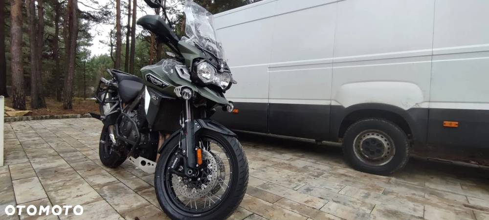 Triumph Tiger - 3