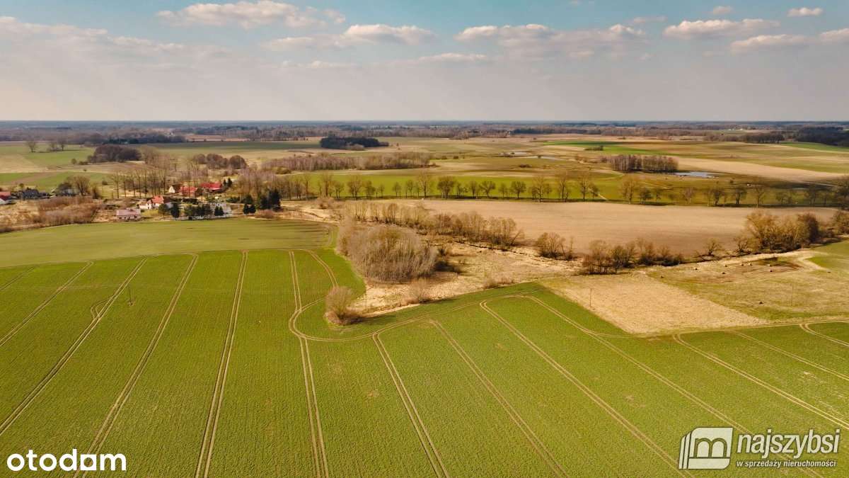 Maszewo-Jenikowo działka 2 ha - Vista 4