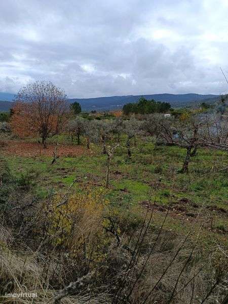 Quinta rural com  41000 metros s quadrados - Grande imagem: 5/5