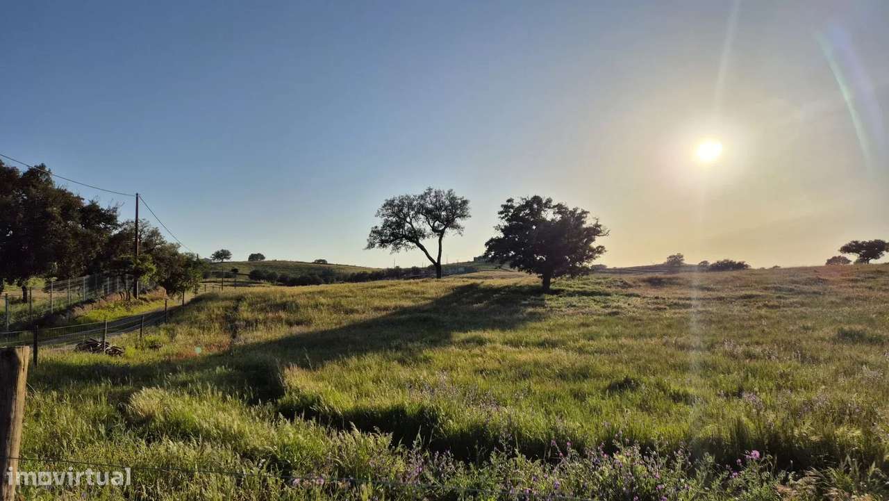 Casa senhorial privada com piscina em mais de 5 hectares.-44