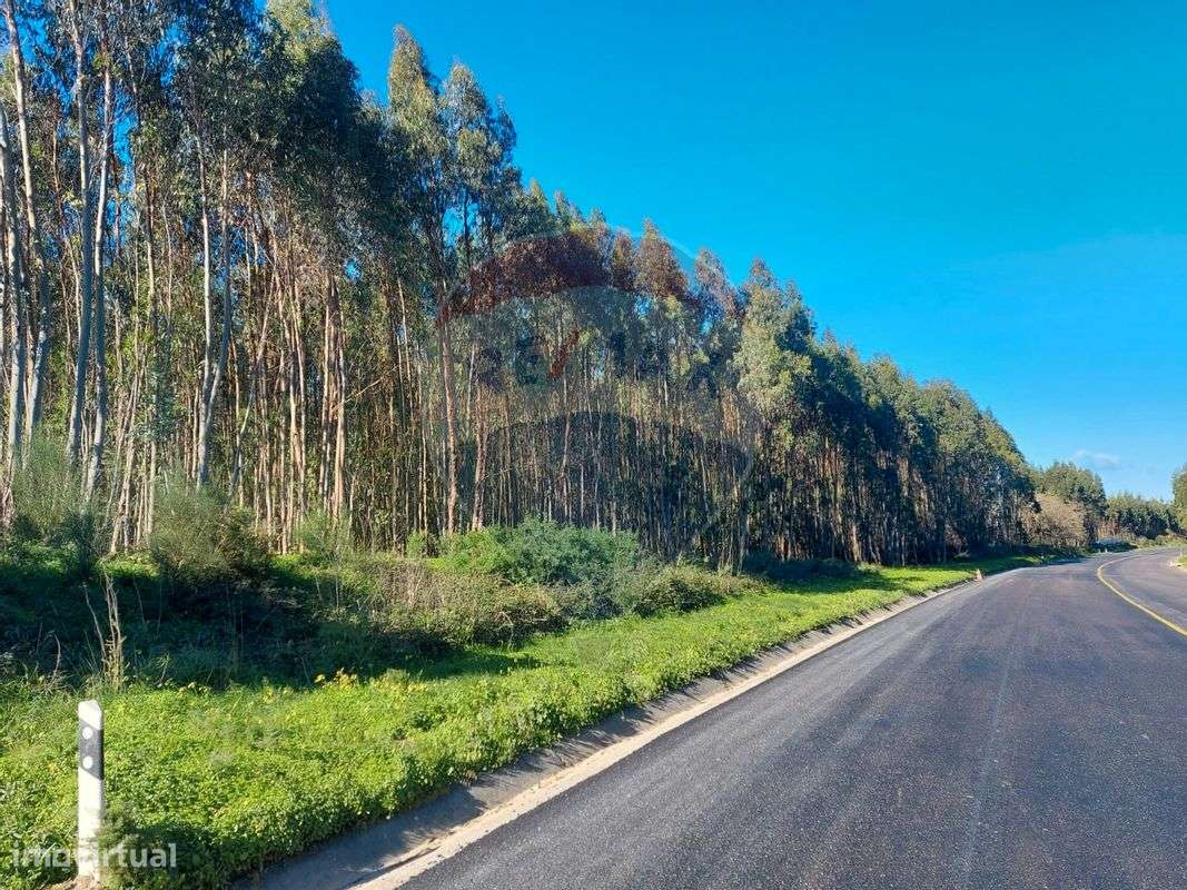 Terreno  para venda - Grande imagem: 4/9