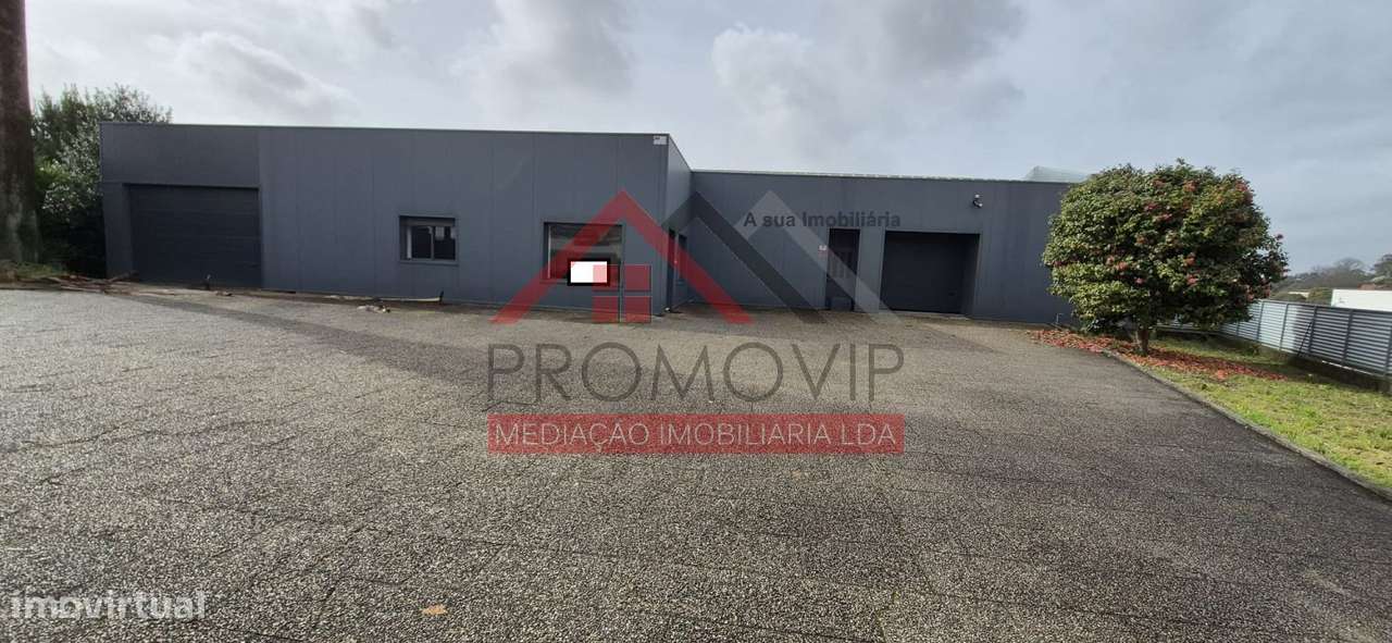 Armazém Arrendamento Palmeira Santo Tirso - Grande imagem: 4/17