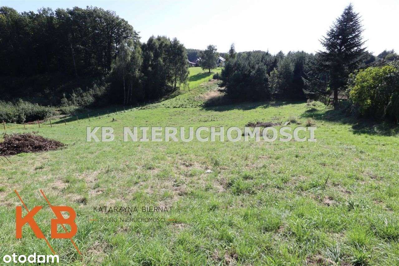 Słoneczna działka Rybnik - Pełny obrazek: 2/6