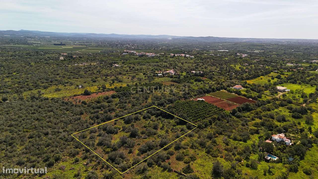 Terreno Rústico com 9.400 m² em Pedregais – Ideal para Agricultura ou - Grande imagem: 5/8