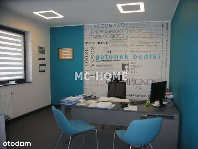 Hala/Magazyn, 1 750 m², Mikołów - Pełny obrazek: 5/10