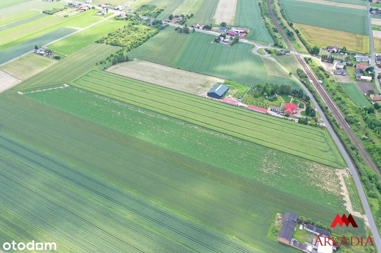 Na sprzedaż – Działki rolne w Gołaszewie - Pełny obrazek: 4/7