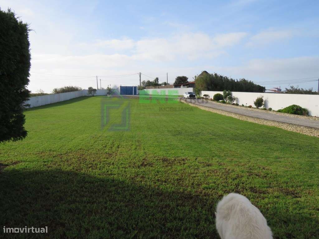 Moradia T5 Isolada em Barril - Grande imagem: 5/37