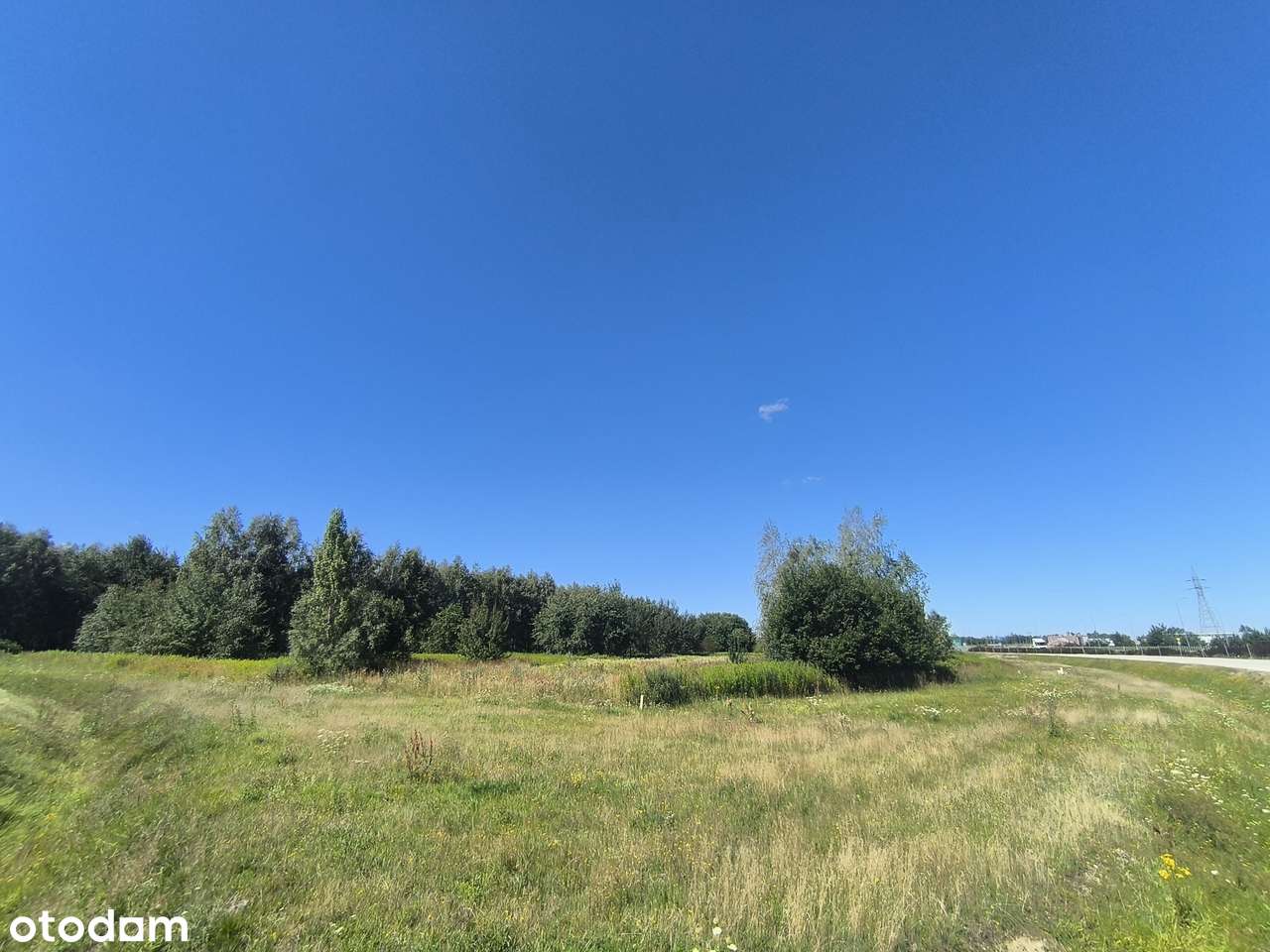 Działka rolna Mrowla 46.07ar-2