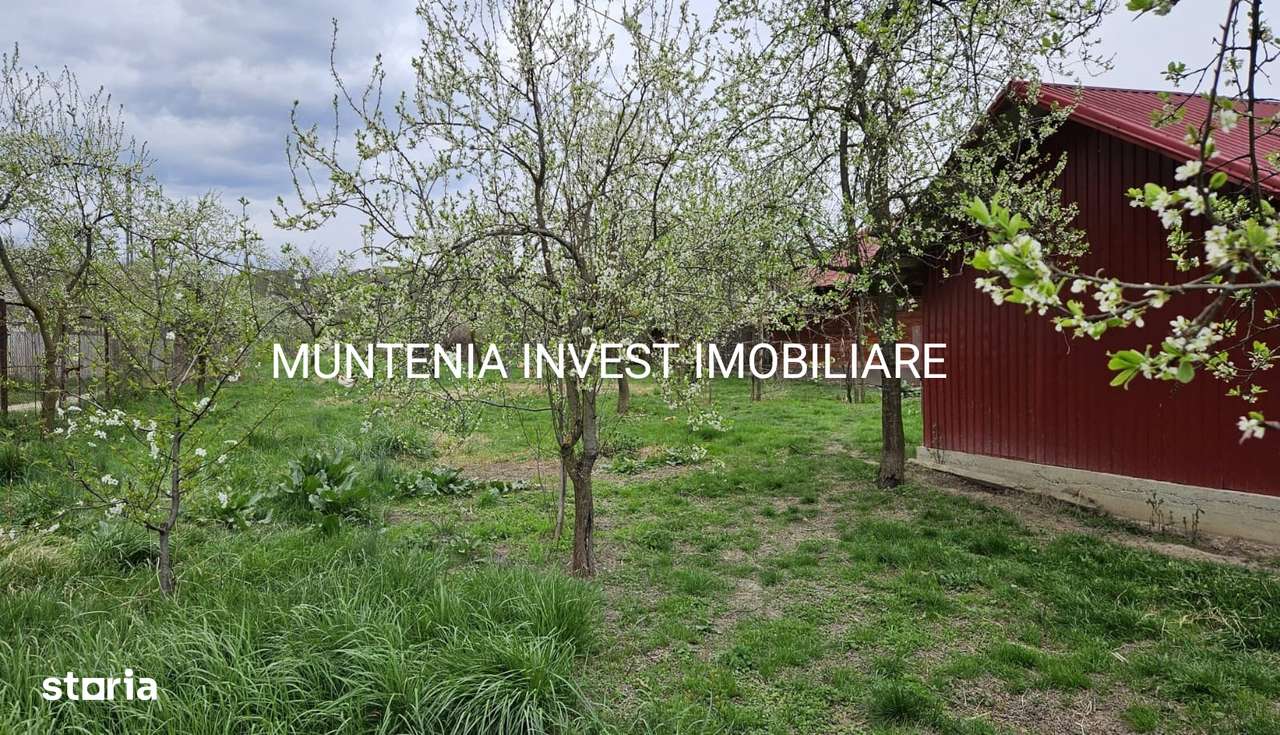 Teren 2658 mp. intravilan, Com. Bogați, sat Glambocelu - Imagine principală: 3/12