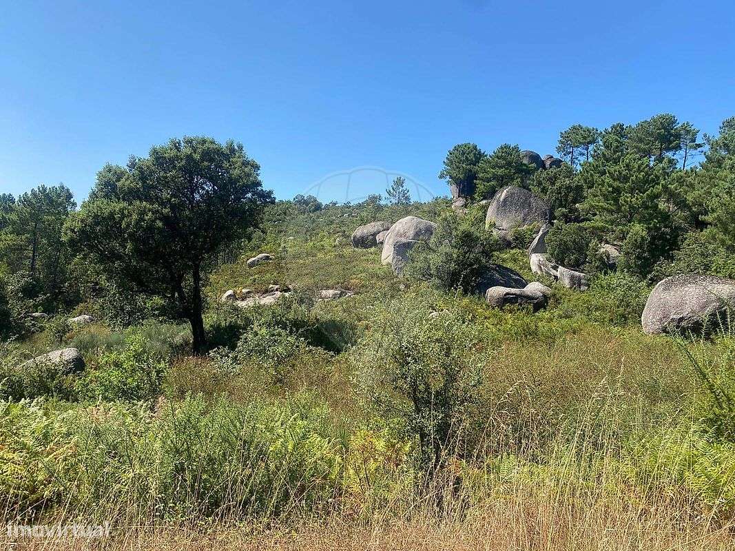 Terreno  para venda - Grande imagem: 3/7