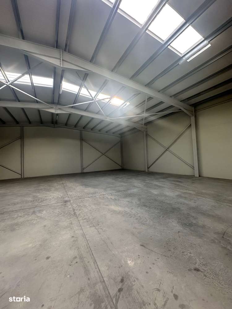 Hala productie sau depozit / Production hall or warehouse - Imagine principală: 5/11