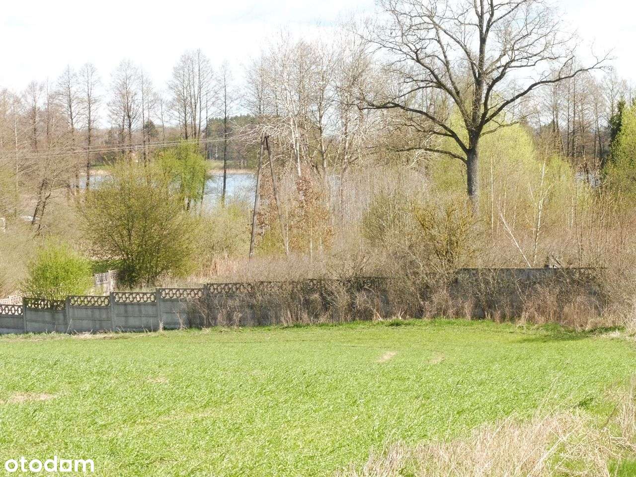 Sprzedam działkę blisko jeziora i lasu .Prawdziwe naturalne Mazury. - Pełny obrazek: 5/9