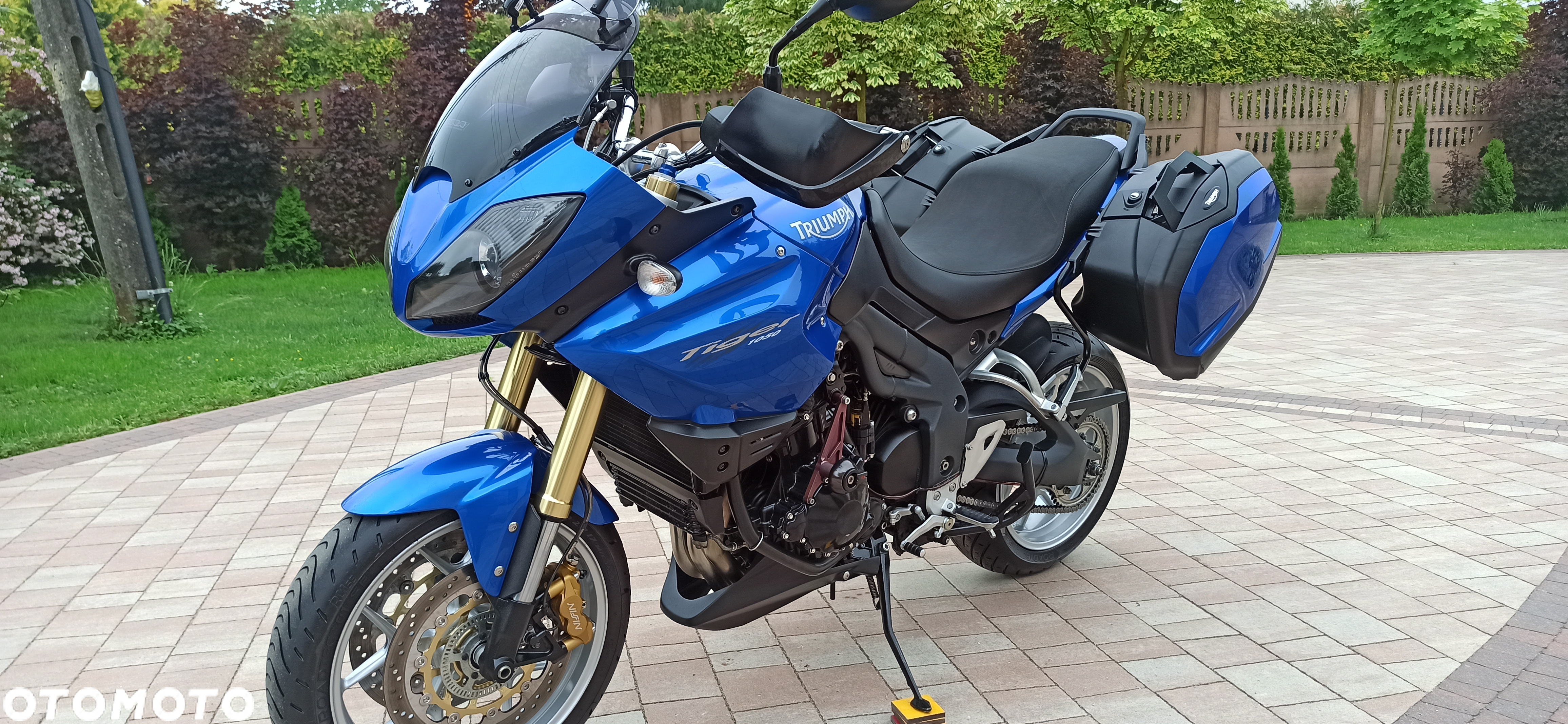 Triumph Tiger - 5