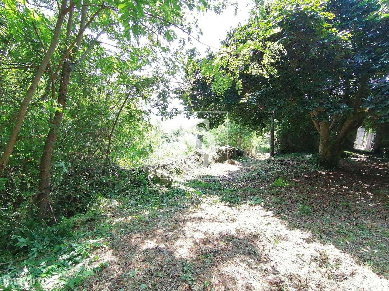 Quinta para Restauro em  Penhalonga e Paços de Gaiolo - Grande imagem: 5/19