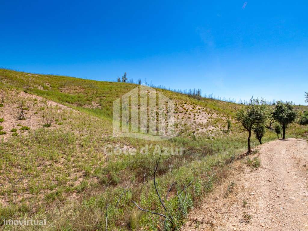 Terreno com 11 hectares - Odemira - Grande imagem: 5/26