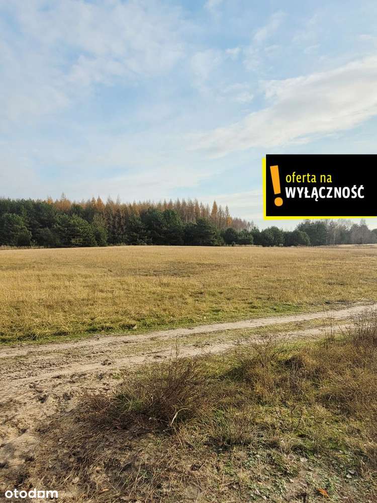 Działka blisko lasu.-5