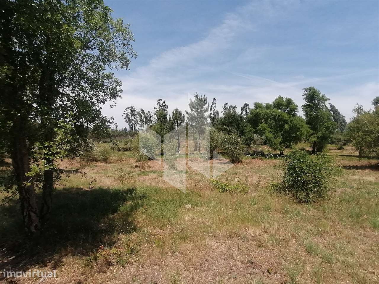 Terreno Rústico  Venda em Lobão da Beira,Tondela - Grande imagem: 5/7