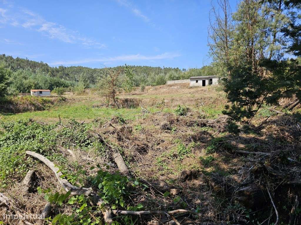 Terreno com 2.100 m2, confronta com rio Alva com boas acessibilidades - Grande imagem: 5/18